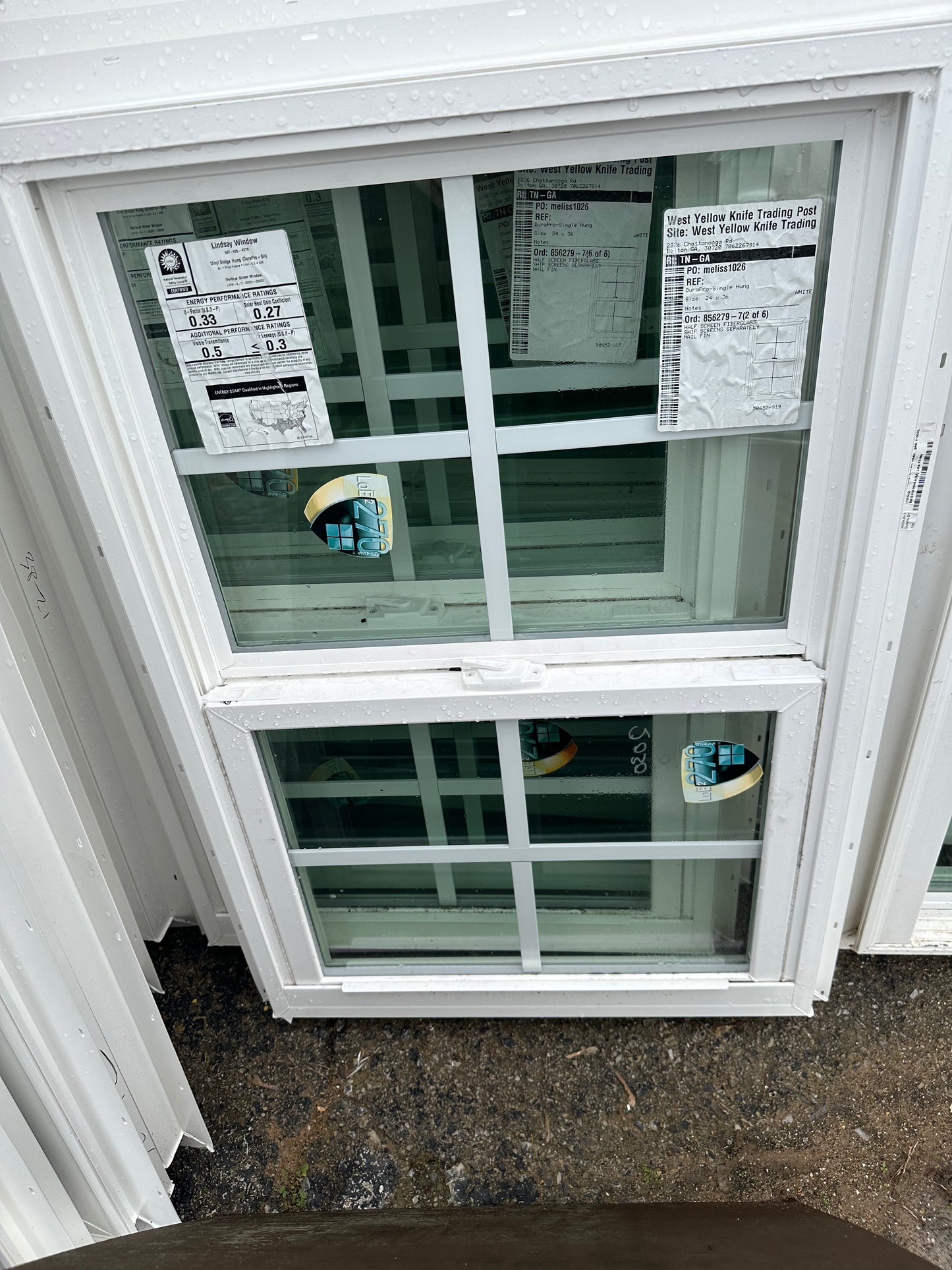 Lindsay Window GBG 24" x 36"