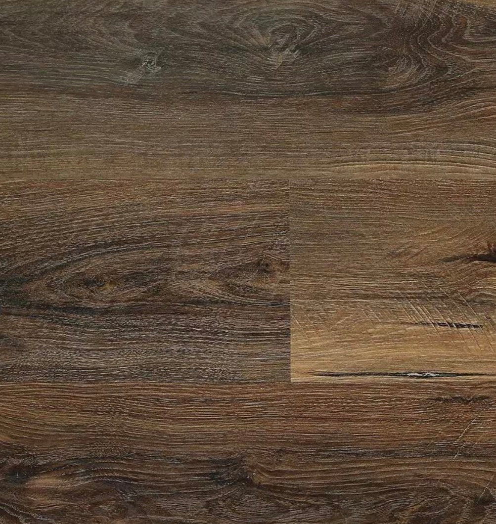 Great Expectations - Chestnut