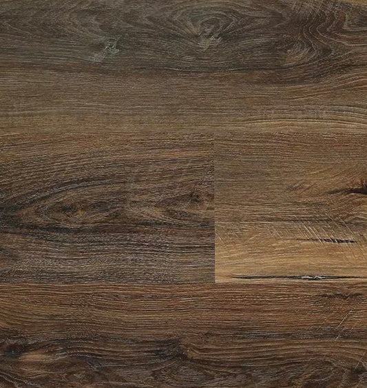 Great Expectations - Chestnut