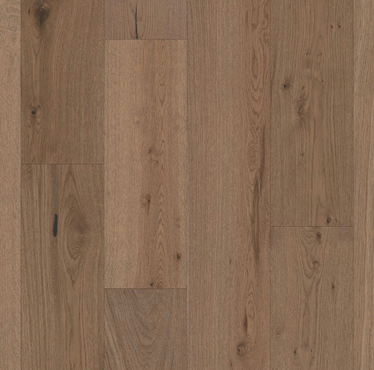 Shaw Legacy II - Castor 01123