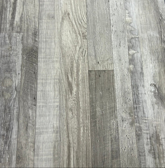 Rigid Plus - Grayling