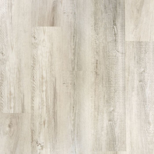 Designer Choice White Truffle